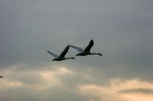 2007-0102-1608-42.jpg