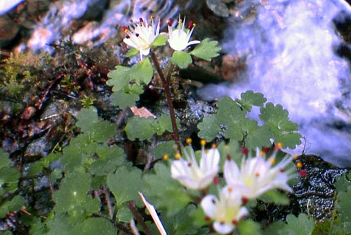 2007-0407-1405-34.jpg