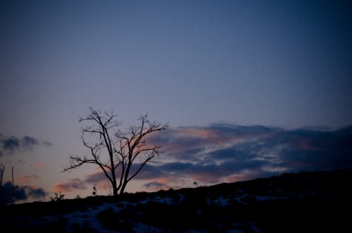 20090103-165802-408