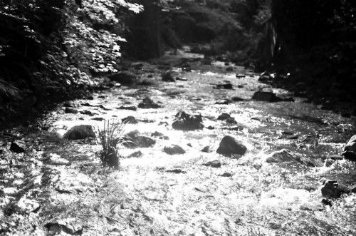 20090815-160345-155