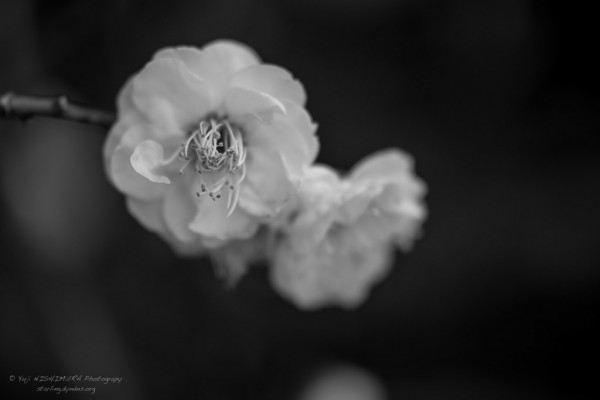 20140125-092233-005