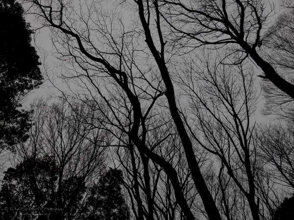 20150101-123757-002