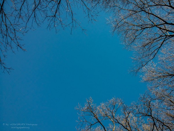 20150112-105039-002