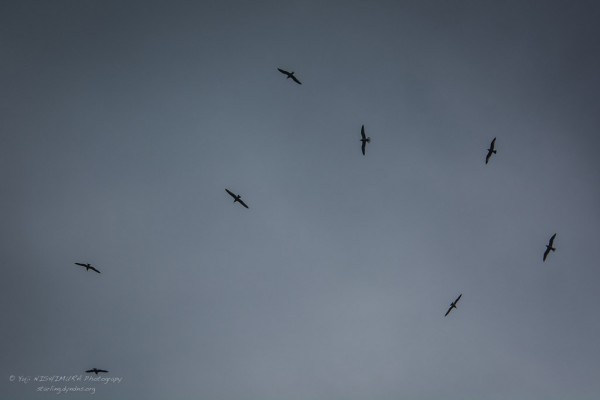 20150315-141904-027