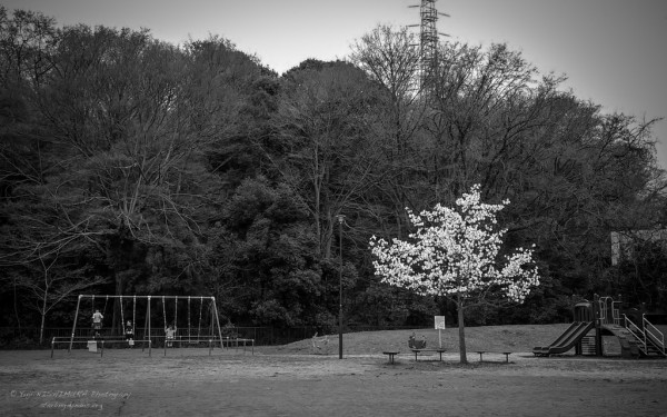 20150321-124556-004