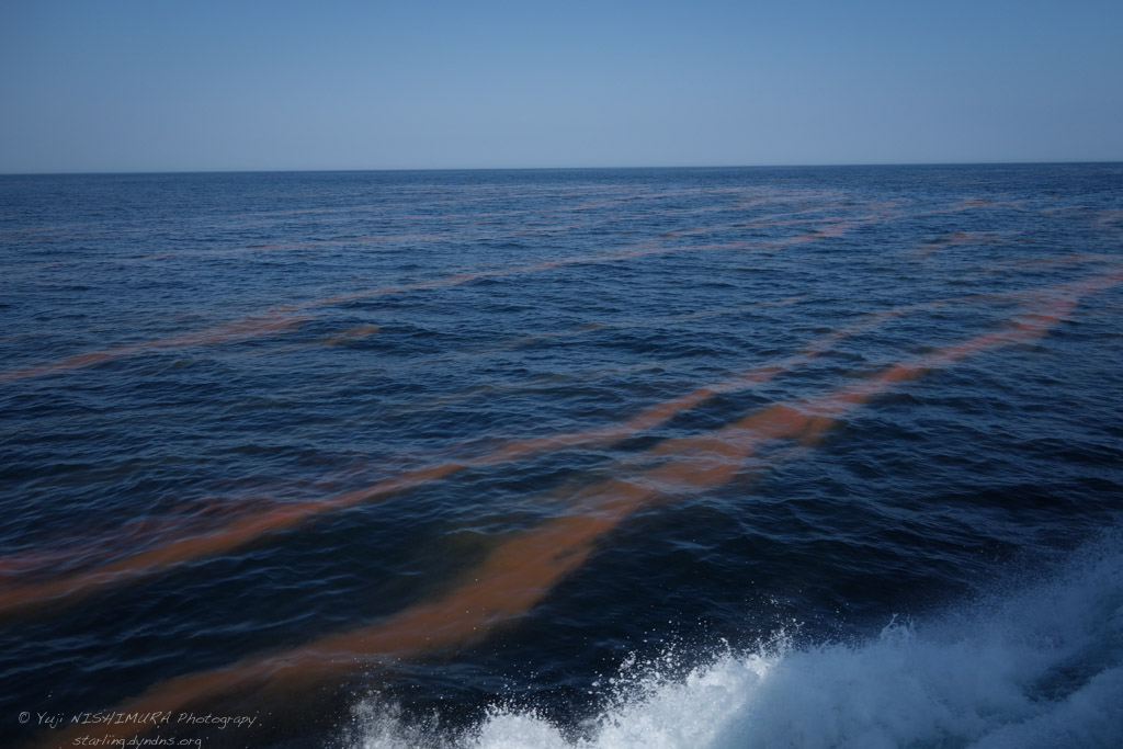 20150502-091255-087
